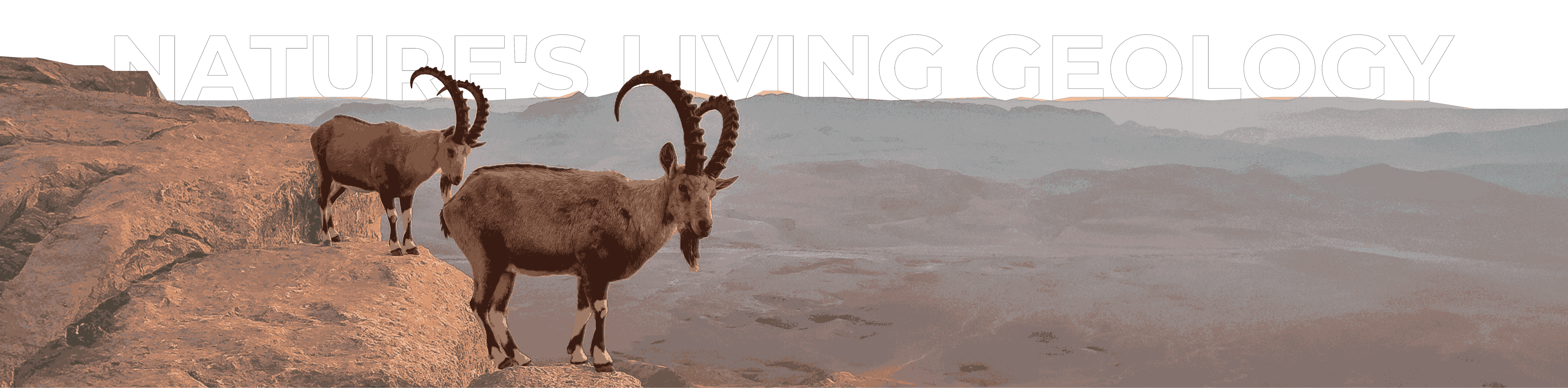 Ibex on rocky cliff with dramatic landscape - nature and geology